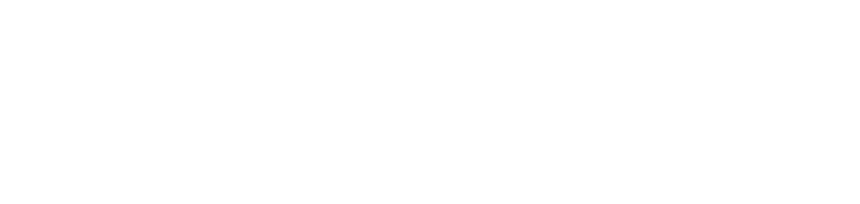 Apple Premium Partner logo